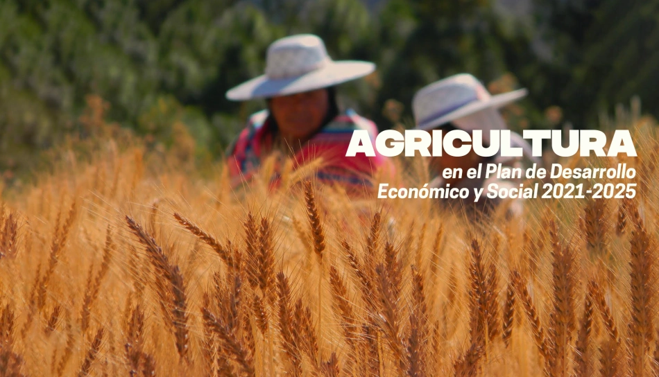 Agricultura boliviana: Planes, programas, estrategias y aspiraciones pomposas