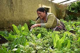 Bolivia impulsa inversión en sector agropecuario de más de USD 254 mill